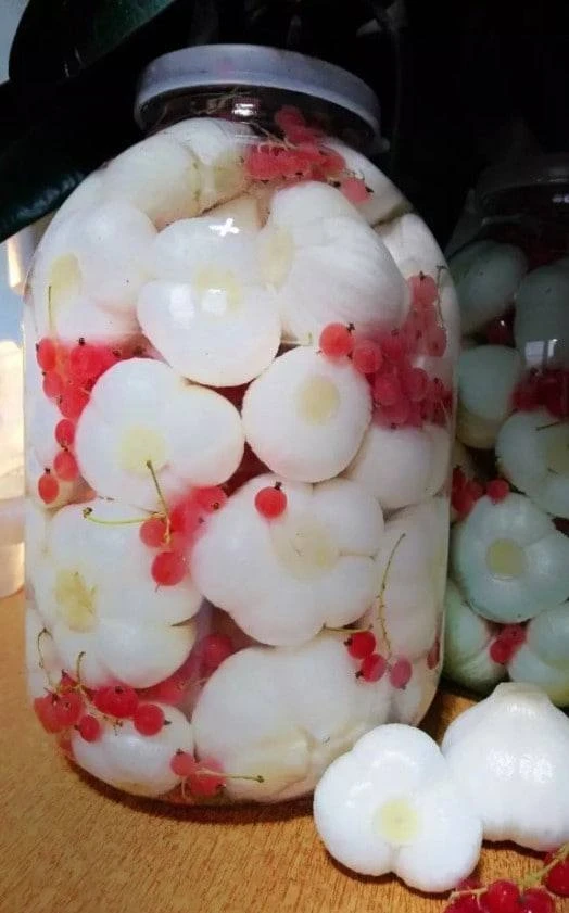 ЧЕСНОК НА ЗИМУ