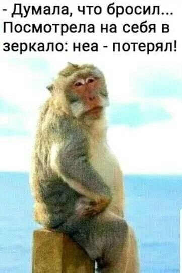 Открытки: подписаться ❤️