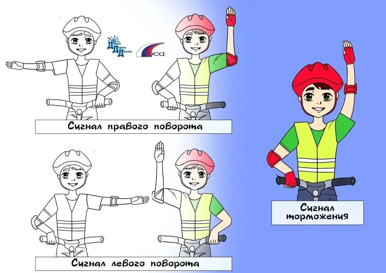 📢СИГНАЛЫ, ПОДАВАЕМЫЕ ВЕЛОСИПЕДИСТОМ