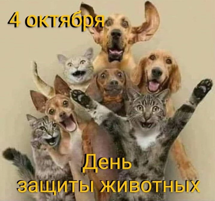 🔮 ЧЕННЕЛИНГ-ПРОГНОЗ НА 4 ОКТЯБРЯ 2026 ГОДА