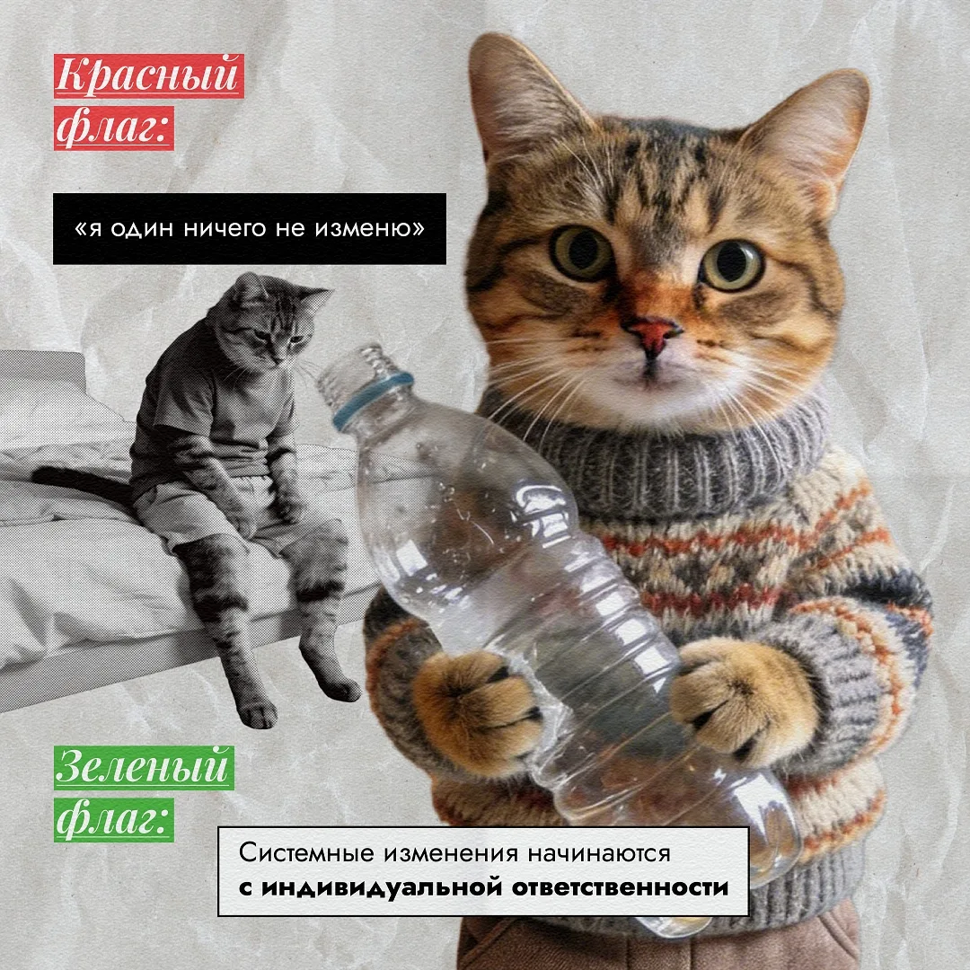 🚩 Красный флаг или 🟢 зеленый? Проверим знания?  Мы решили расставить все на свои места и запустили с