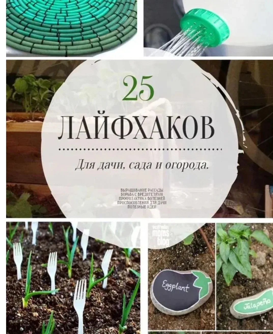📋 Д🍎чный л🍑йфхак