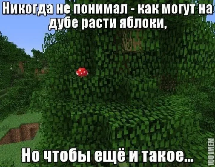 🤣