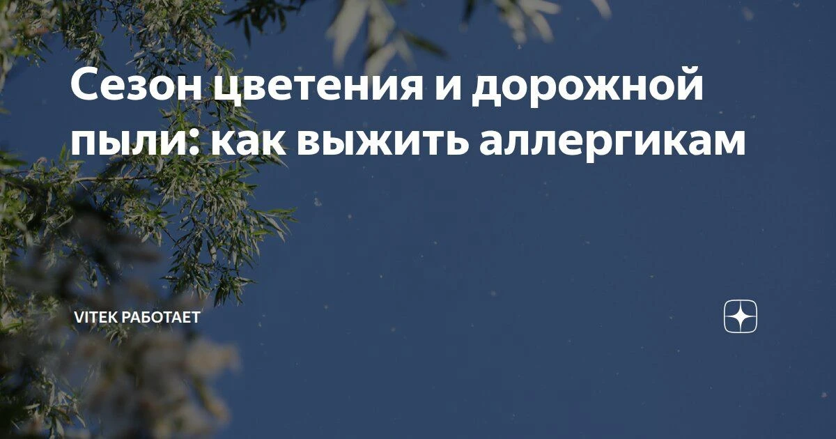🎙 Тополиный пух! Жара, июнь! 

Всё бы хорошо, но аллергикам сейчас не позавидуешь…🥹

Наша коллега 