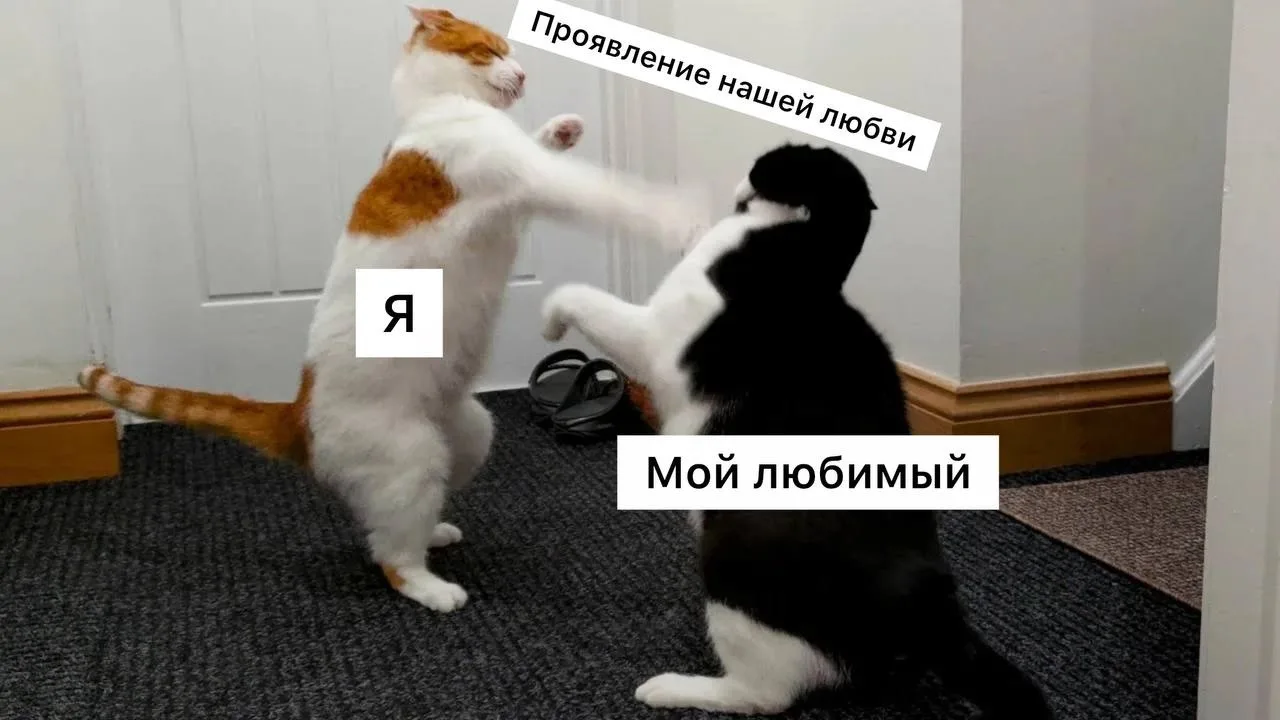 Осенью отношения в парах могут ухудшаться, — психологи