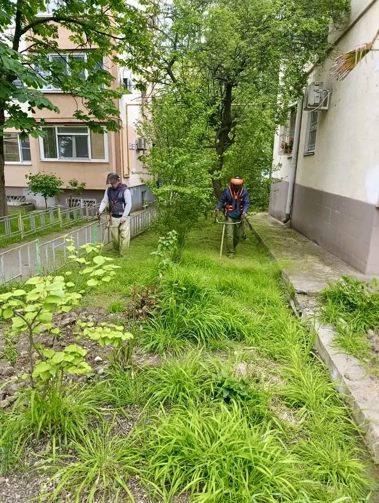 🌿 Уважаемые жители! 🌿  Сообщаем, что работы по покосу травы на придомовых территориях продолжаются 🚜