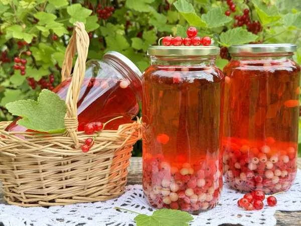 КОМПОТ ИЗ КРАСНОЙ И БЕЛОЙ СМОРОДИНЫ 🍒