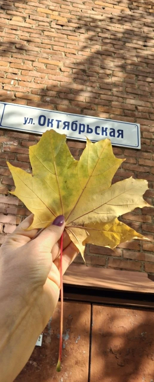 Доброе утро, Долгопрудный ☀️