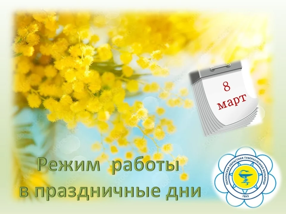 Режим работы в праздничные дни￼ :
