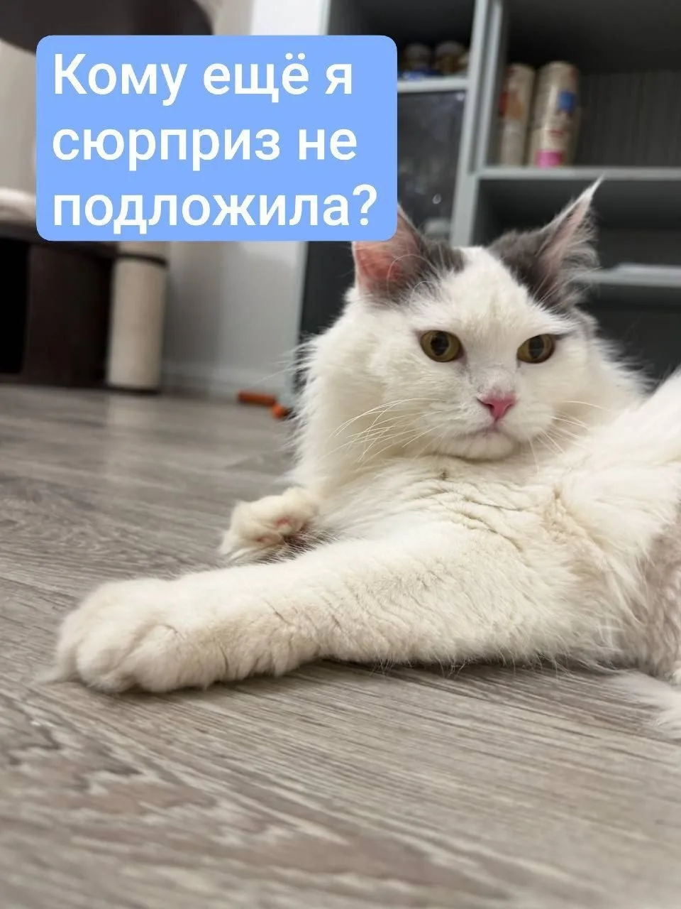 Новые мемы от Эли