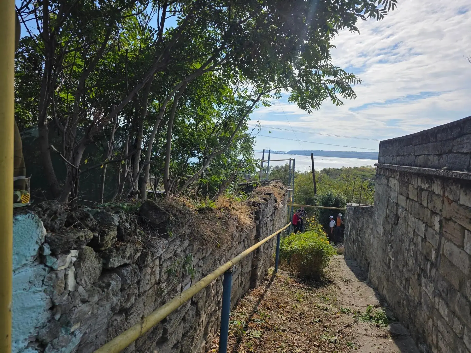 🌳В Керчи продолжается уборка городских территорий от камыша и поросли. Служба городско...