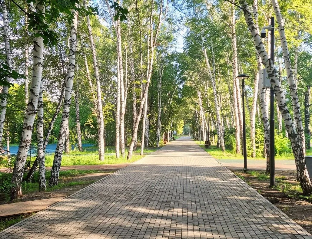 В барнаульском парке им.В.И. Ленина третий этап благоустройства по нацпроекту выполнен ...