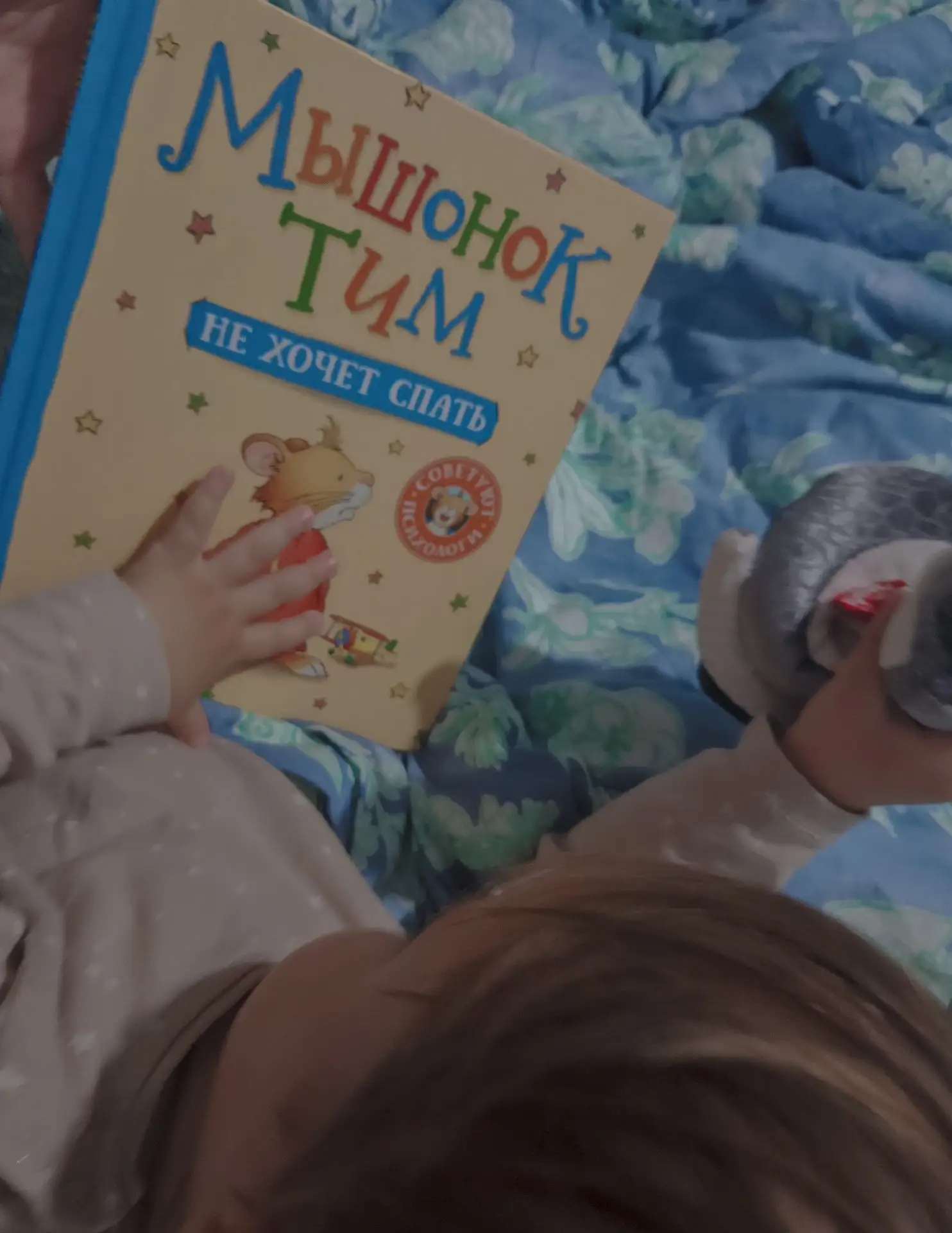Надеюсь 🤞интерес к 📚 не пропадёт у тебя никогда, Тим 🥨