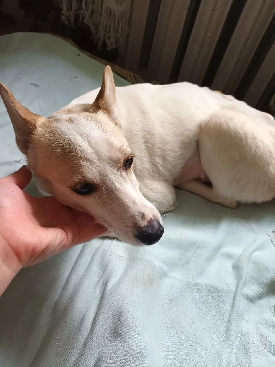 ВНИМАНИЕ
