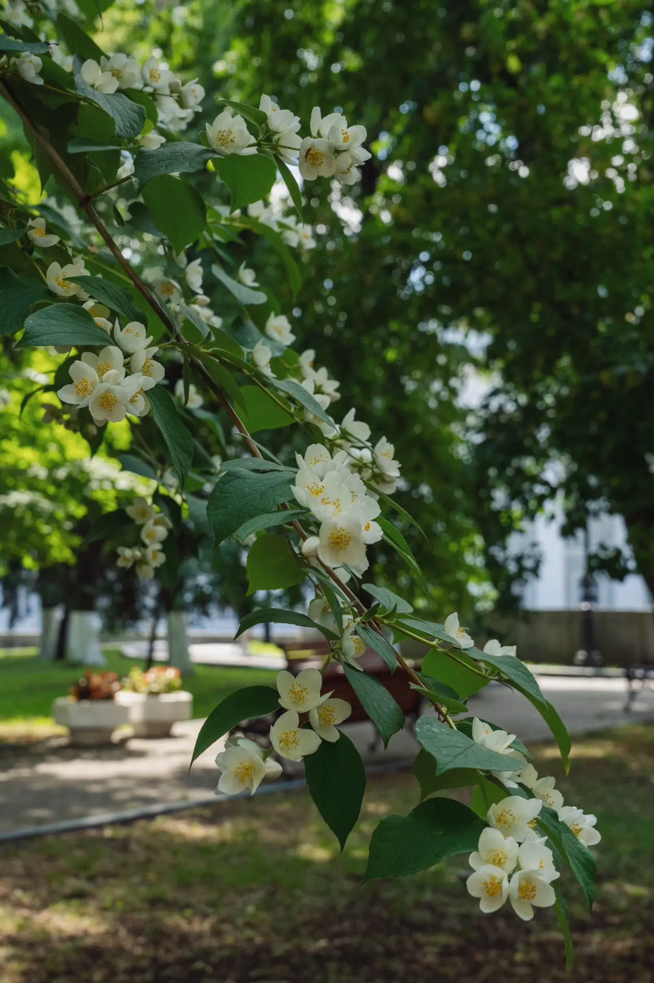 🌿 Июнь – месяц перемен, важных событий и серьёзных решений

Июнь – время прощаться со вчерашними ст