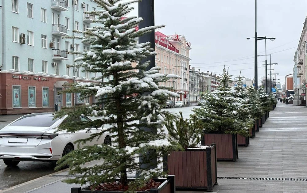 В Перми ожидается сильный мокрый снег