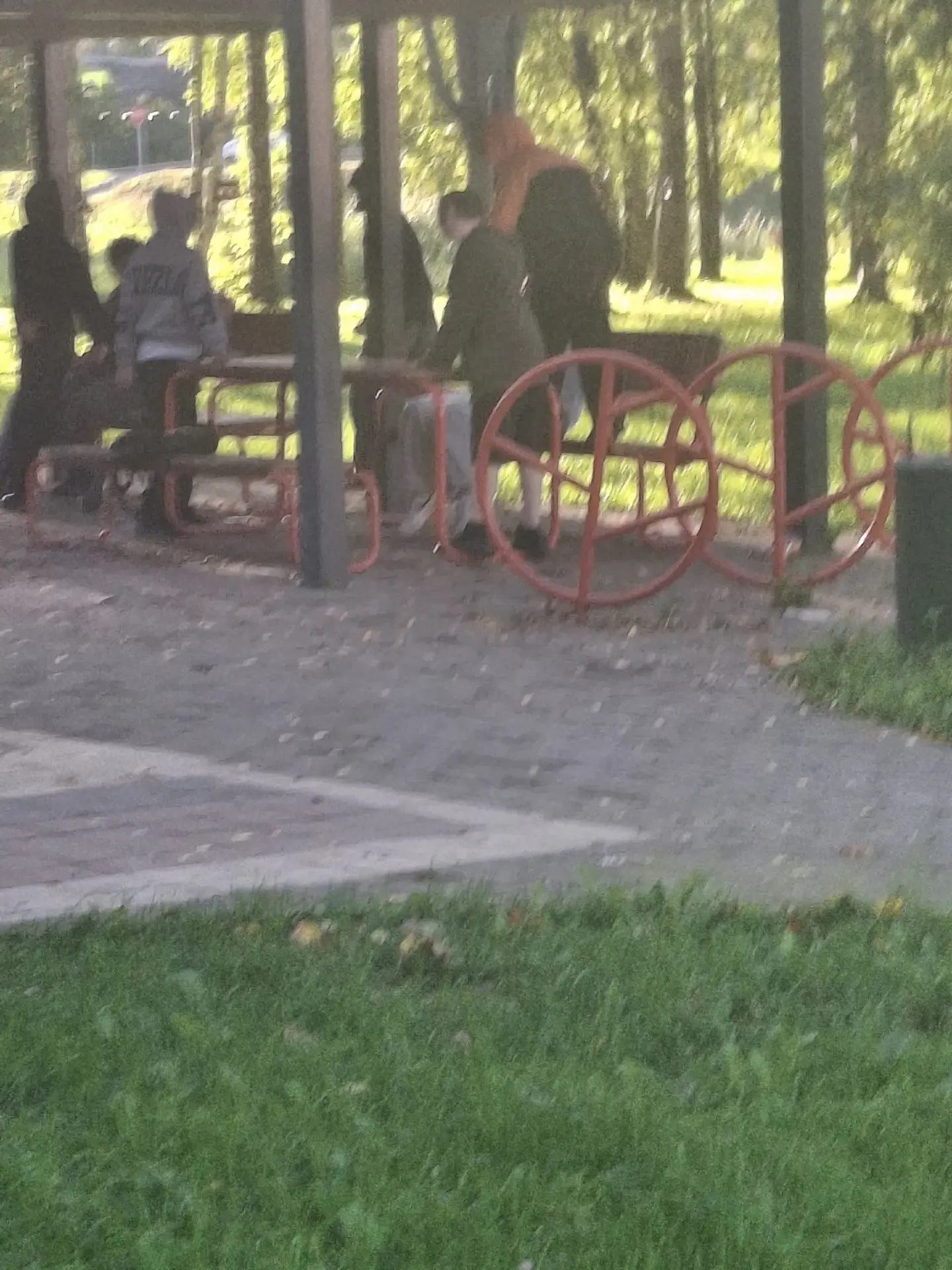 Уважаемая администрация Сольцов, когда уже в парке появятся камеры? Или вы и дальше буд...