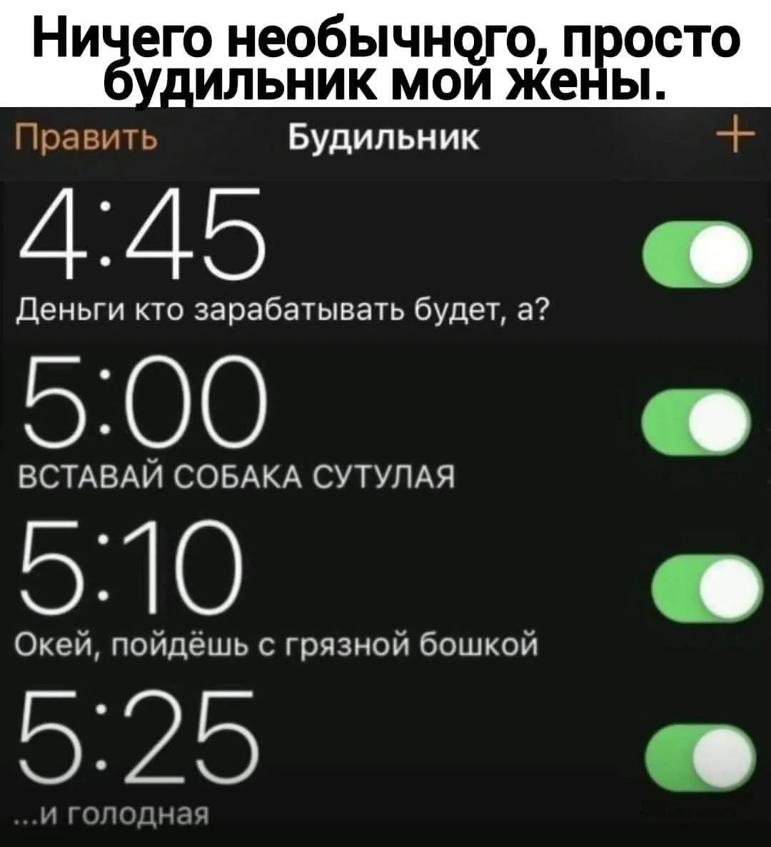 ____________________
Помощь со всеми видами работ

👉Заказать помощь в MAX
👉Заказать помощь в Teleg