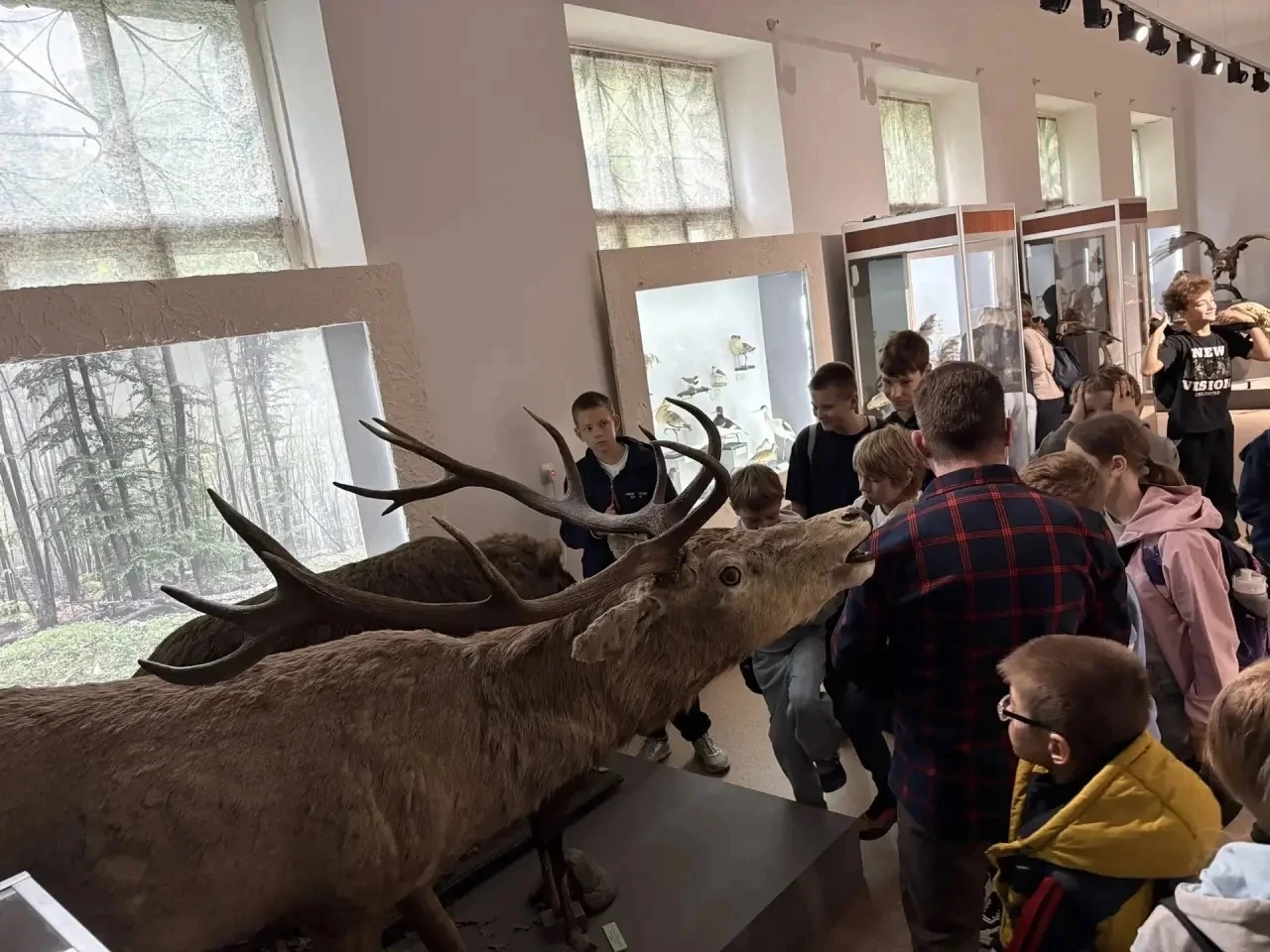 🦌 Изучение фауны Крыма ребятами кружка «Краеведение» (рук. Кареба Е.В.) в Центральном ...