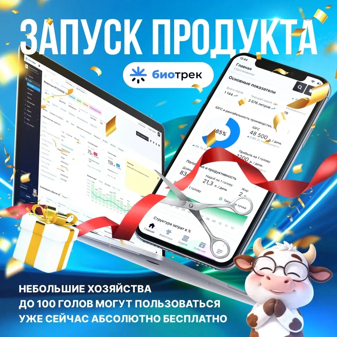 ДРУЗЬЯ, ВАЖНЫЕ НОВОСТИ ⚡️
