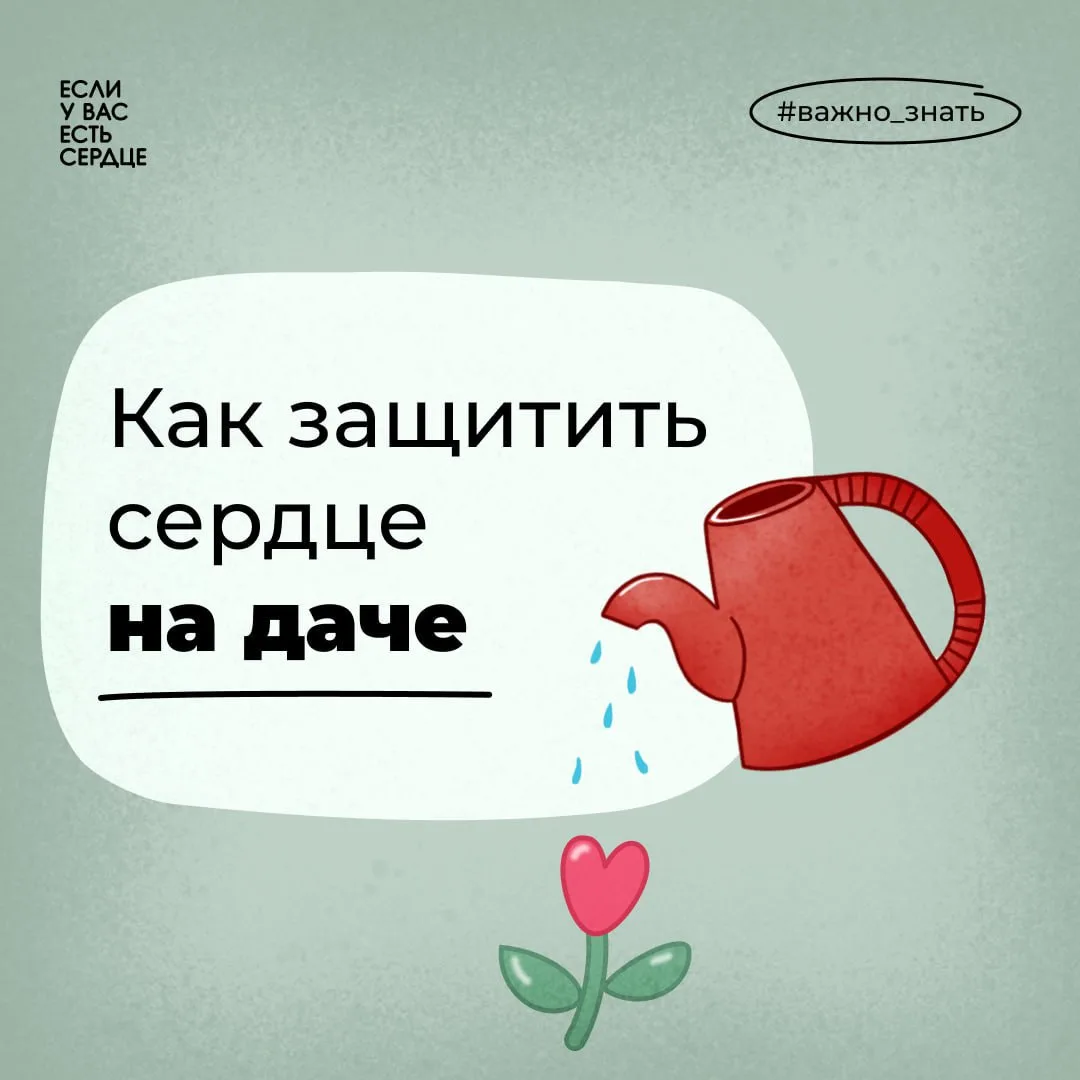 Многие ждут выходных, чтобы поехать на любимую дачу и заняться огородом или садом. Но в...