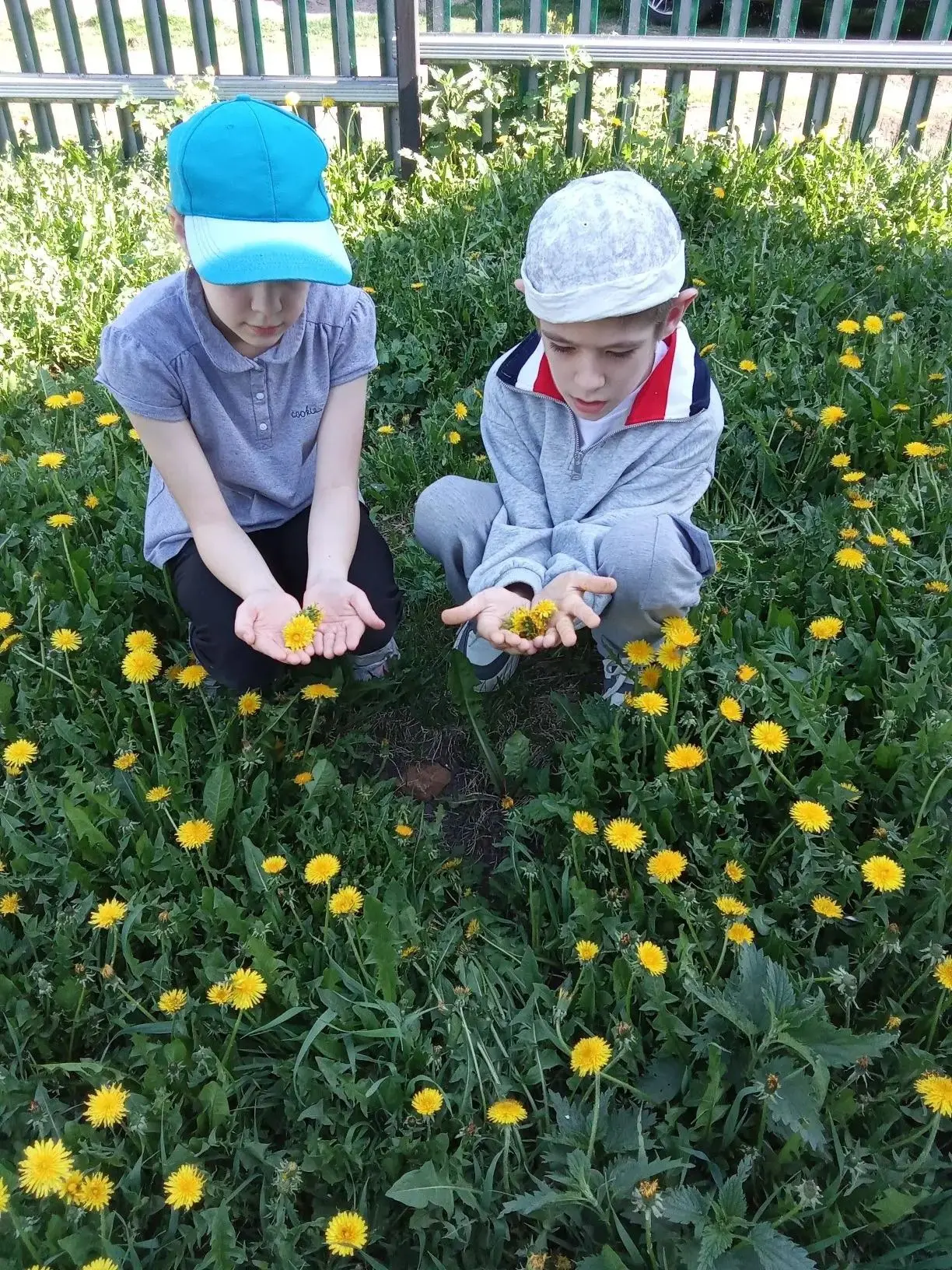 🌼Яхшы матур чэчэклэргэ соклану,  аларны истэлек итеп саклау очен балалар дэреслэрдэн с...