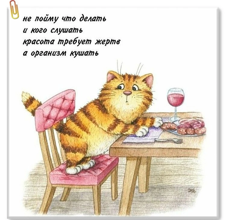 Доброго дня! ❤