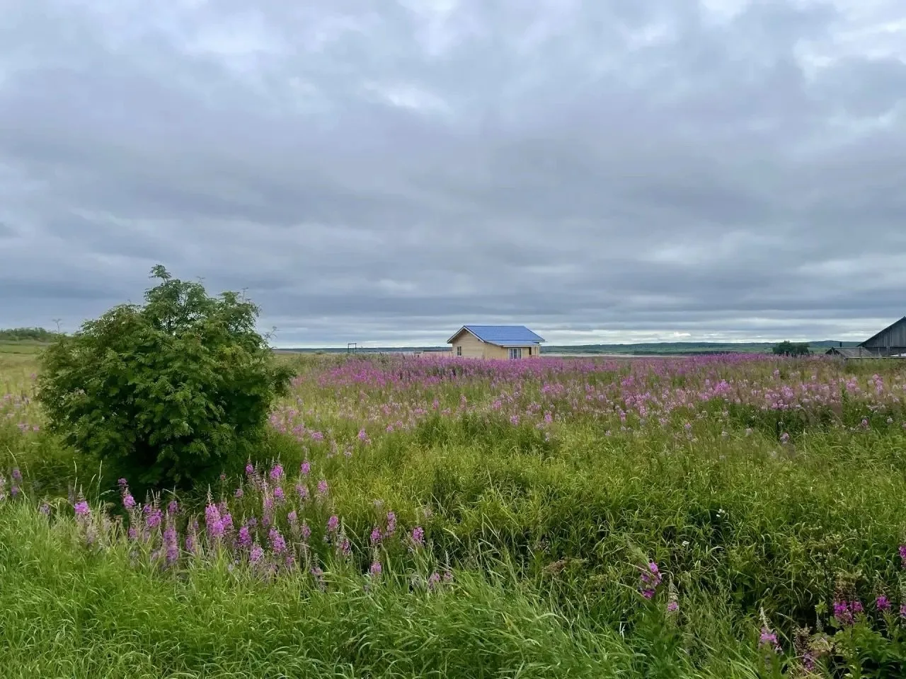 Село Дорогорское: взгляд сквозь века 🌿🏡

Сегодня показываем вам село, от которого невозможно оторв
