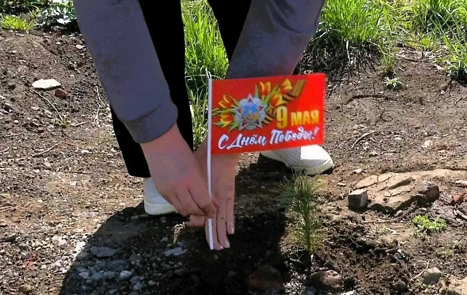В Киселевске растет «Сад памяти».  Озеленение населенных пунктов - одна из приоритетных задач, котор