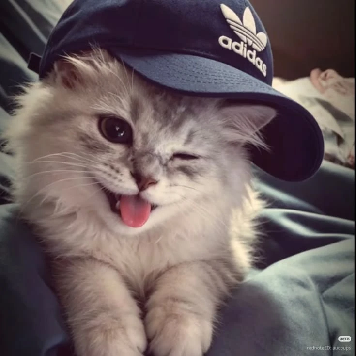 парные авы 💗