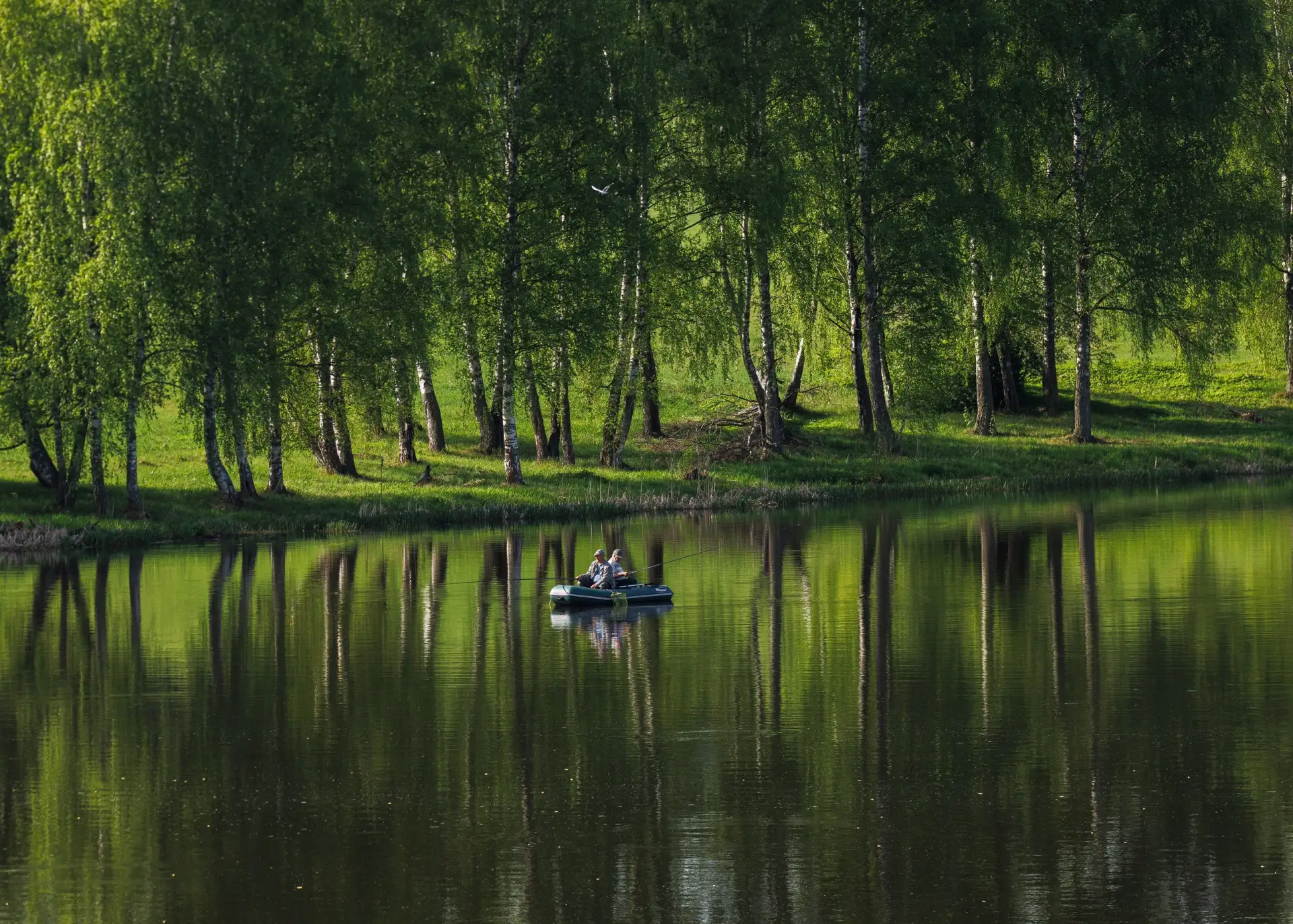 🎣 Удачная рыбалка #рыбалка #улов #решемка  📷 Владимир Петухов
