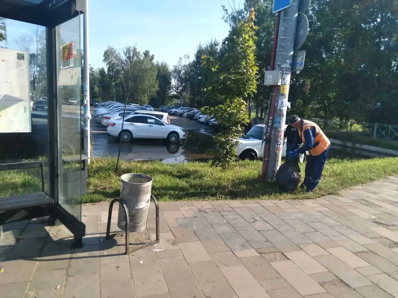 Чистота: миссия выполнима 🧹✨