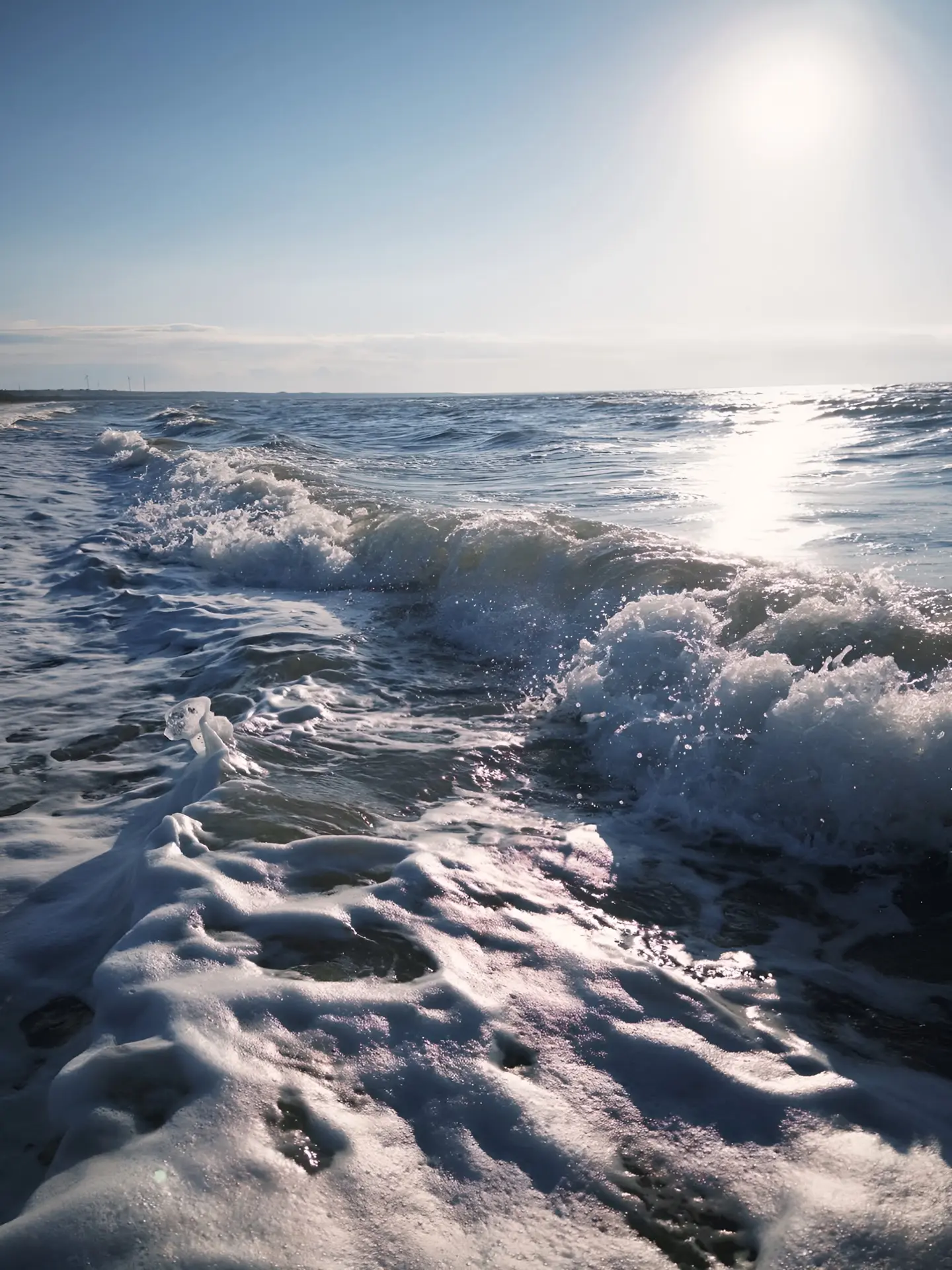 Азовское море 🌊🐚