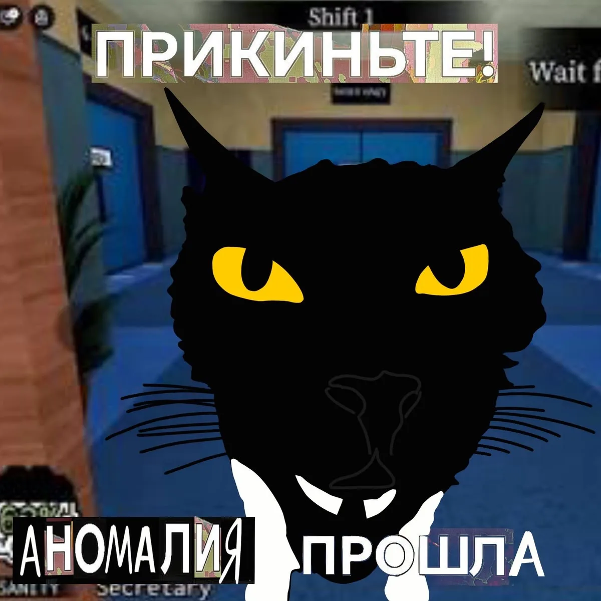 Больница для животных. Подписаться.