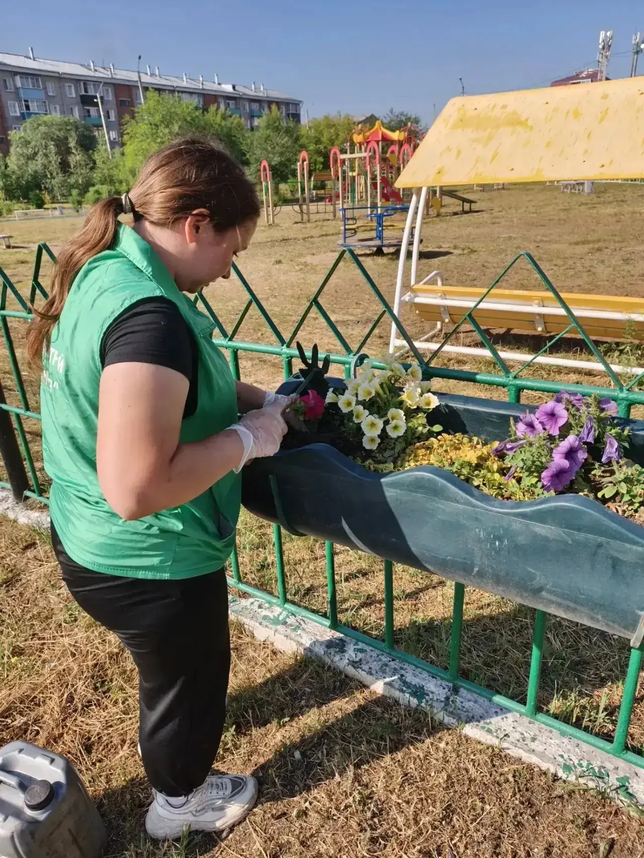 За городскими цветниками в Улан-Удэ ухаживают ежедневно
