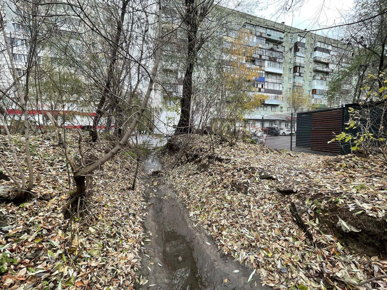 #благоустройство