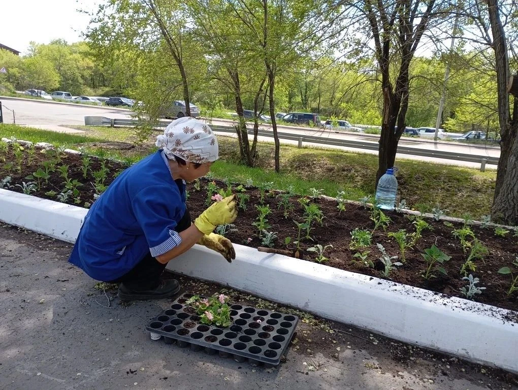 Цветочный десант💐