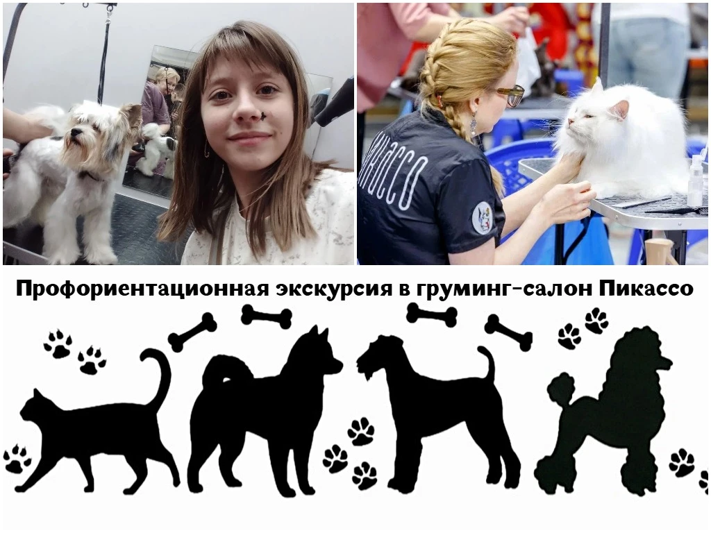 Ученики 5-6 классов вместе с социальным педагогом Пилипенко И. А. побывали в зоосалоне ...