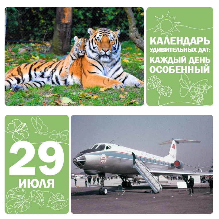📅 29 июля — Международный день тигра 🐅