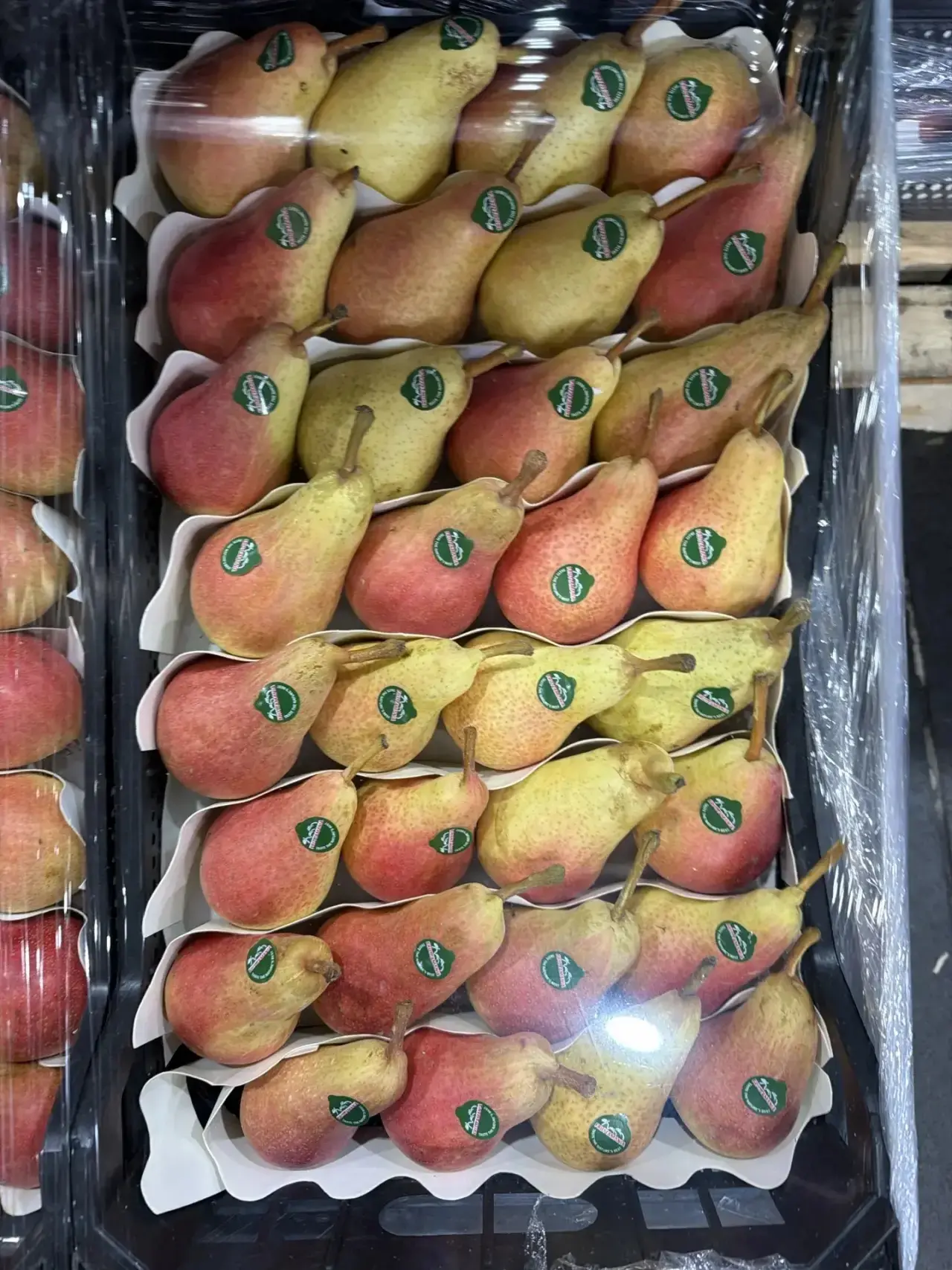 Груша из Азербайджана 🍐