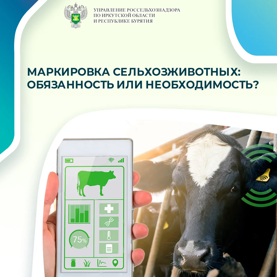 С 2023 года в России действует обязательная маркировка и учет домашних и сельскохозяйст...