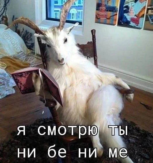 Как подготовить кожу к автозагару? 

DHA реагирует с аминогруппами кератина в роговом слое, а рогово