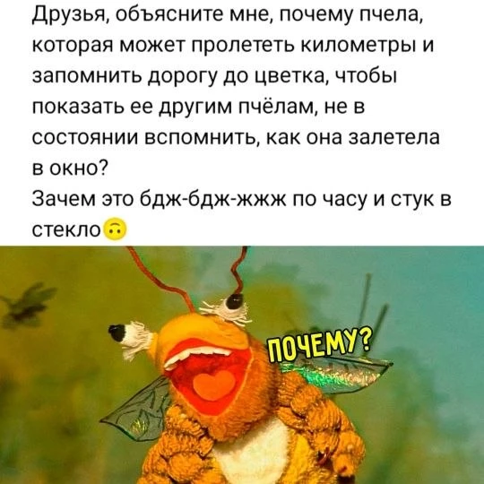?