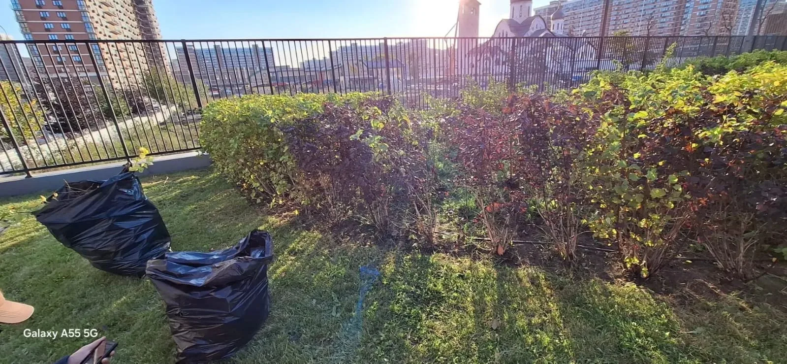 Держим в курсе 🌿