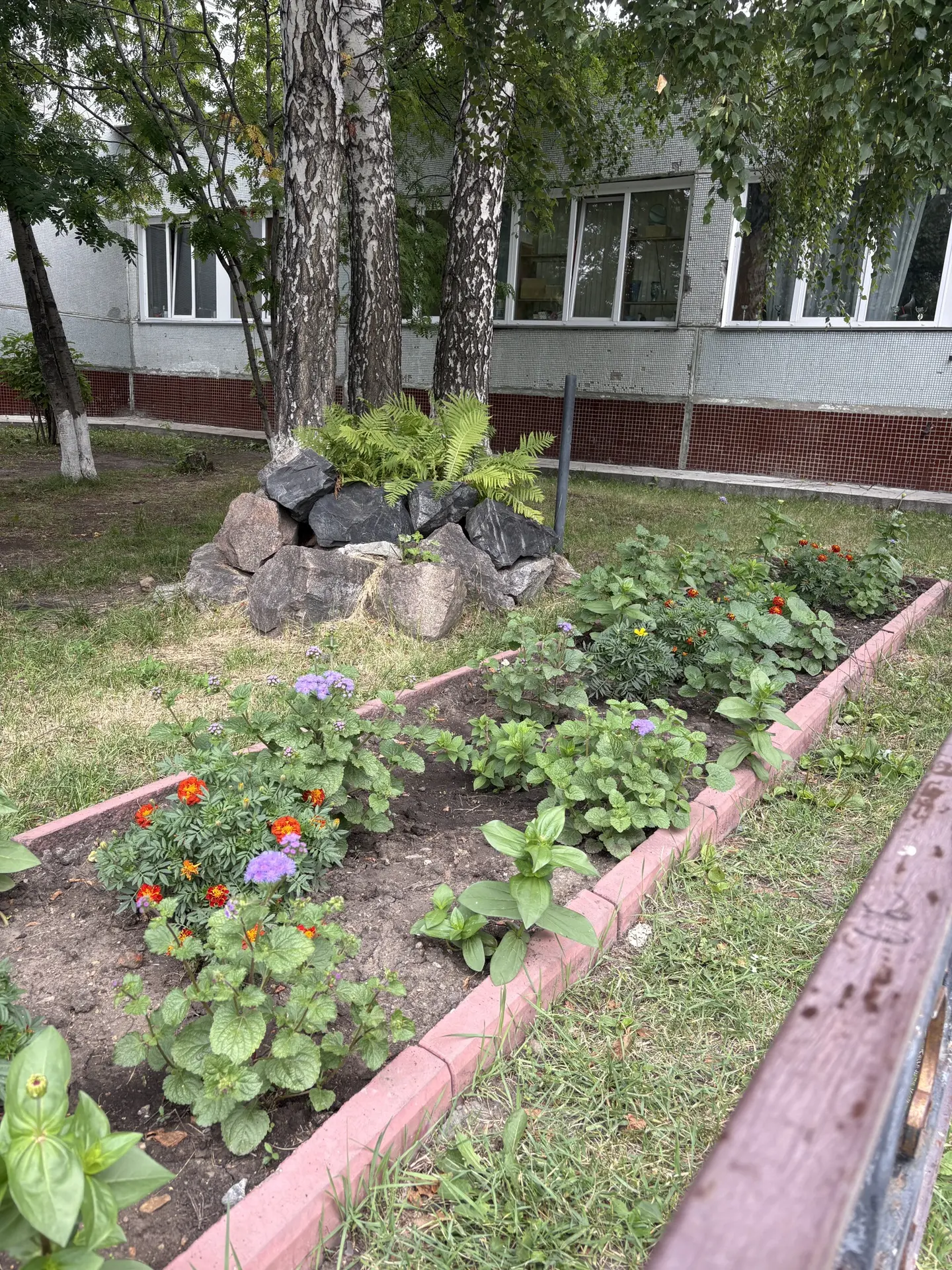 🏫 Школа готовится к новому учебному году!

Летние каникулы продолжаются, но в нашей школе уже кипит