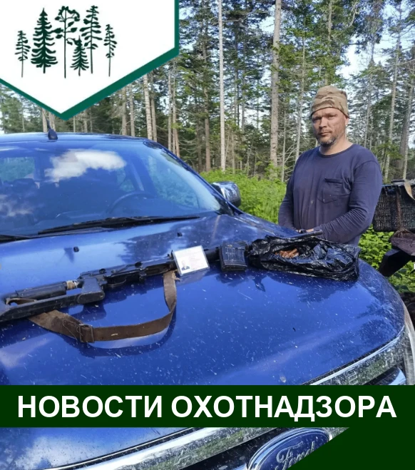 📍Сотрудники охотнадзора Хабаровского края продолжают работу по выявлению фактов наруше...