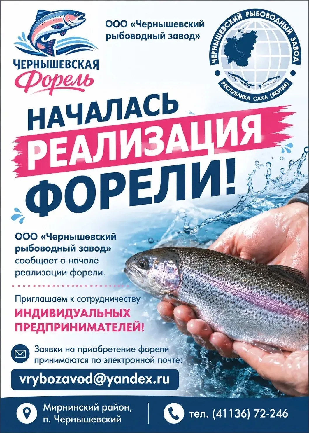 🐟 НАЧАЛАСЬ РЕАЛИЗАЦИЯ ФОРЕЛИ!