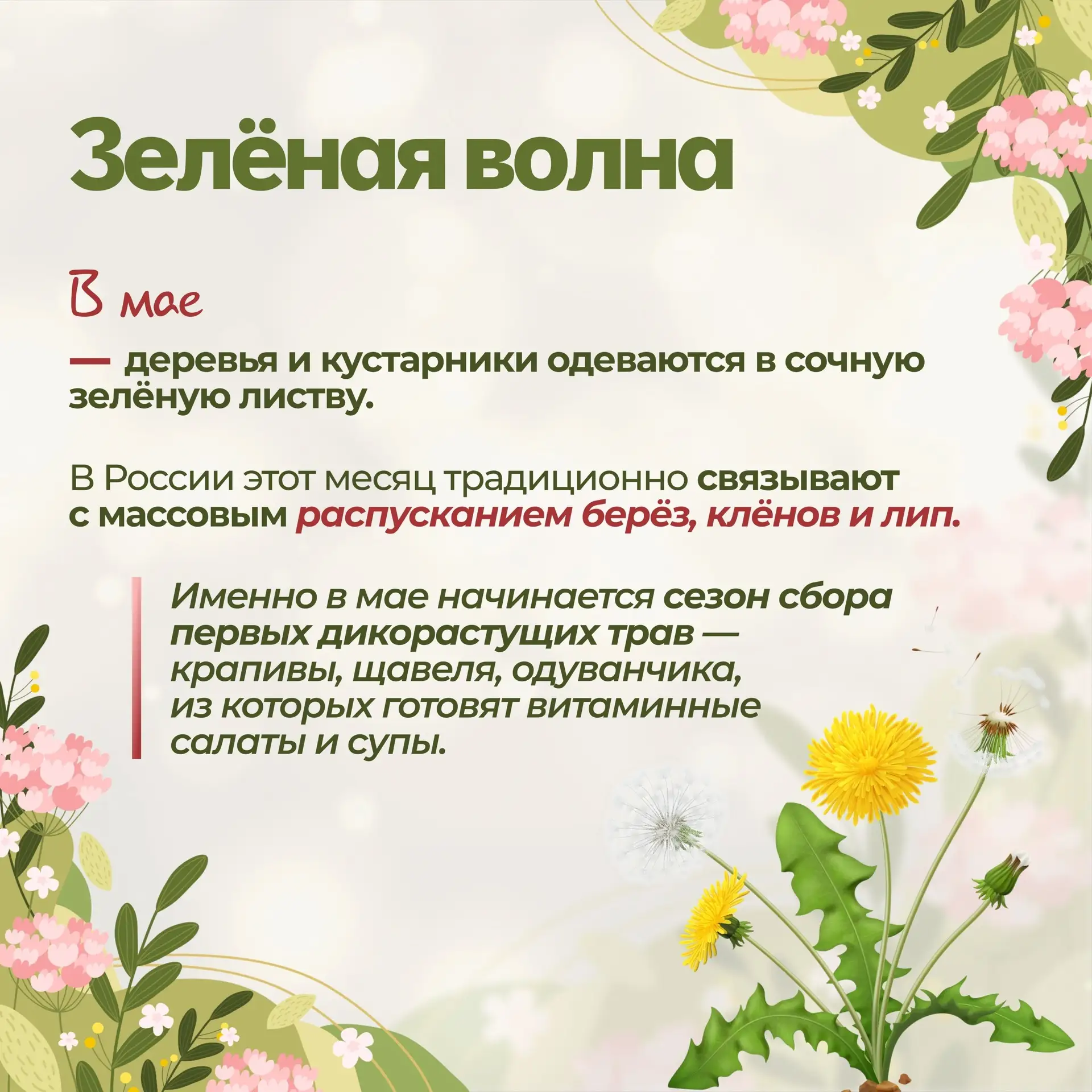 — А что же дальше?  — А дальше Май.