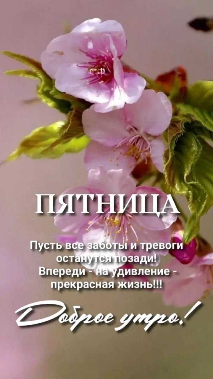 🥰Ставьте реакции и делитесь открыткой с близкими ❤️