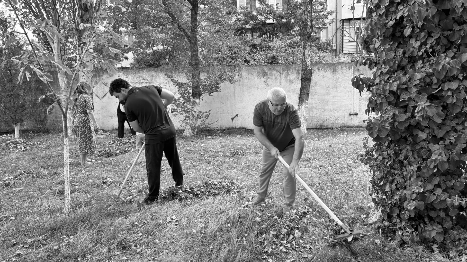 Сегодня, 29 августа, коллектив Детской школы эстрадной песни провёл субботник на прилег...
